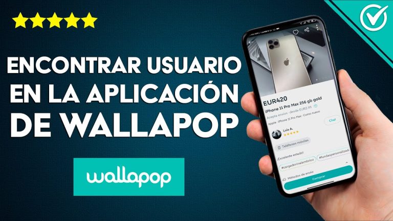 Como buscar un usuario en wallapop